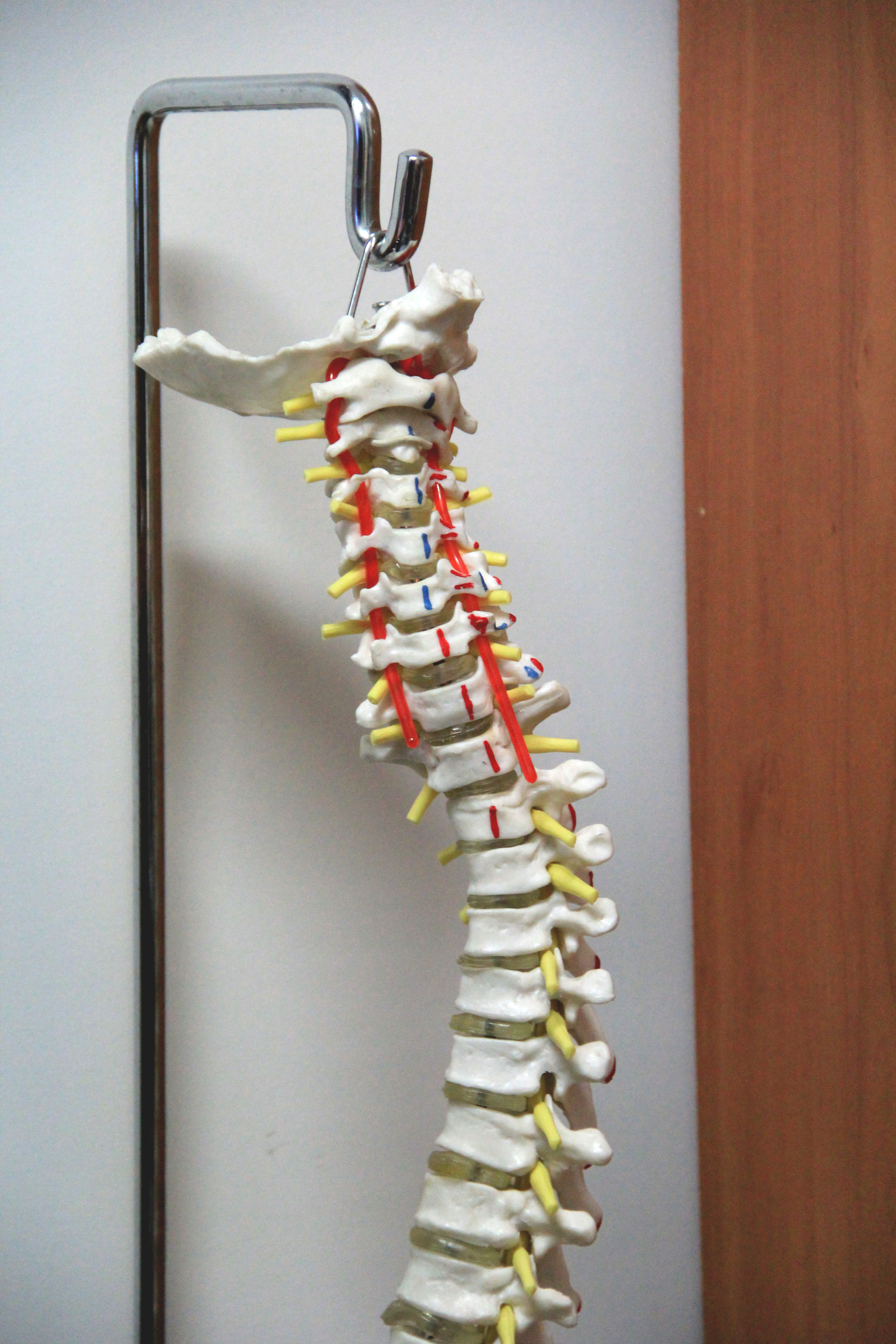 chiro